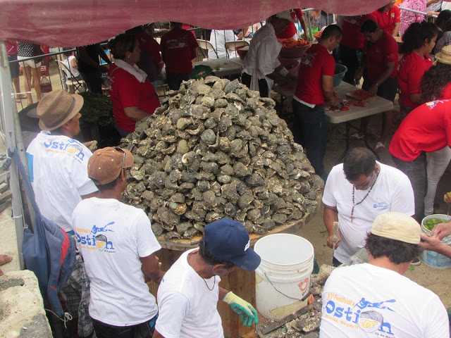 oyster festival