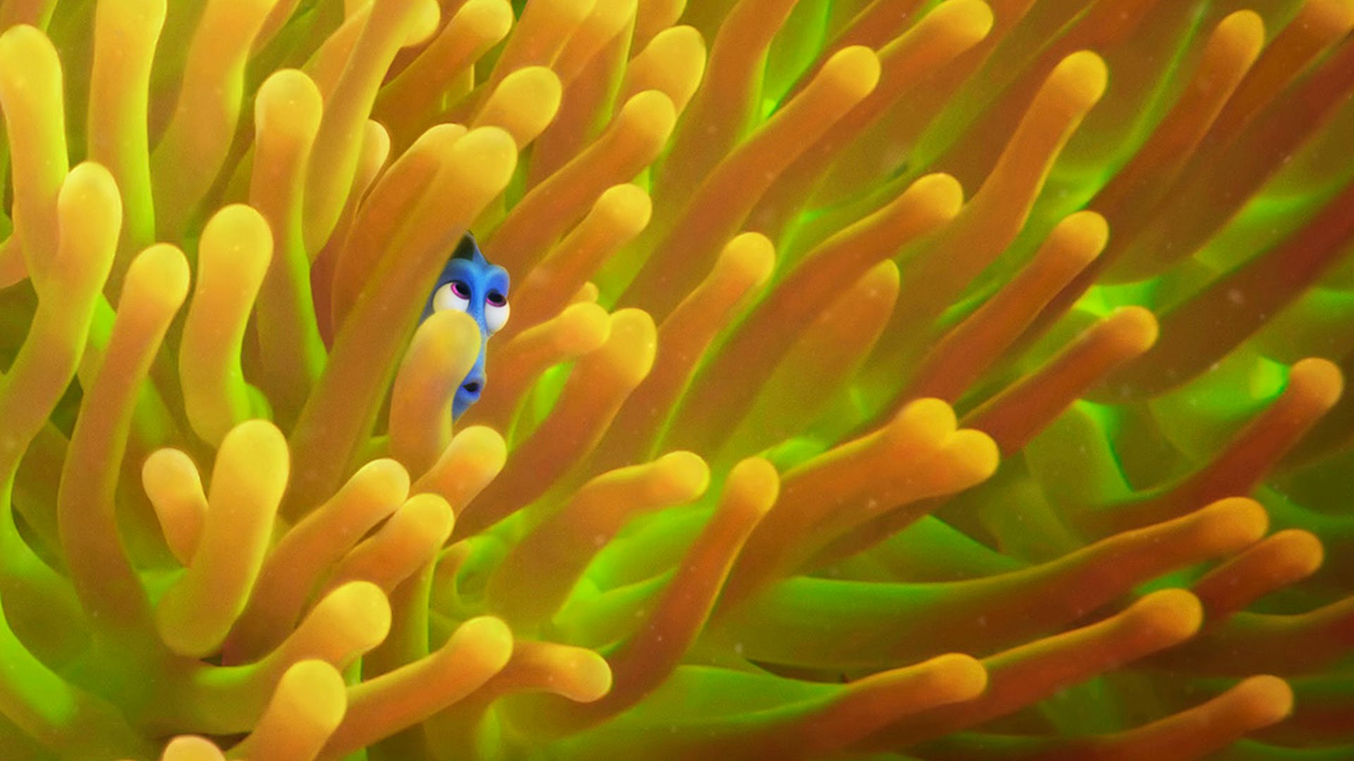 finding dory