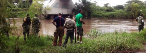 crocodile attack