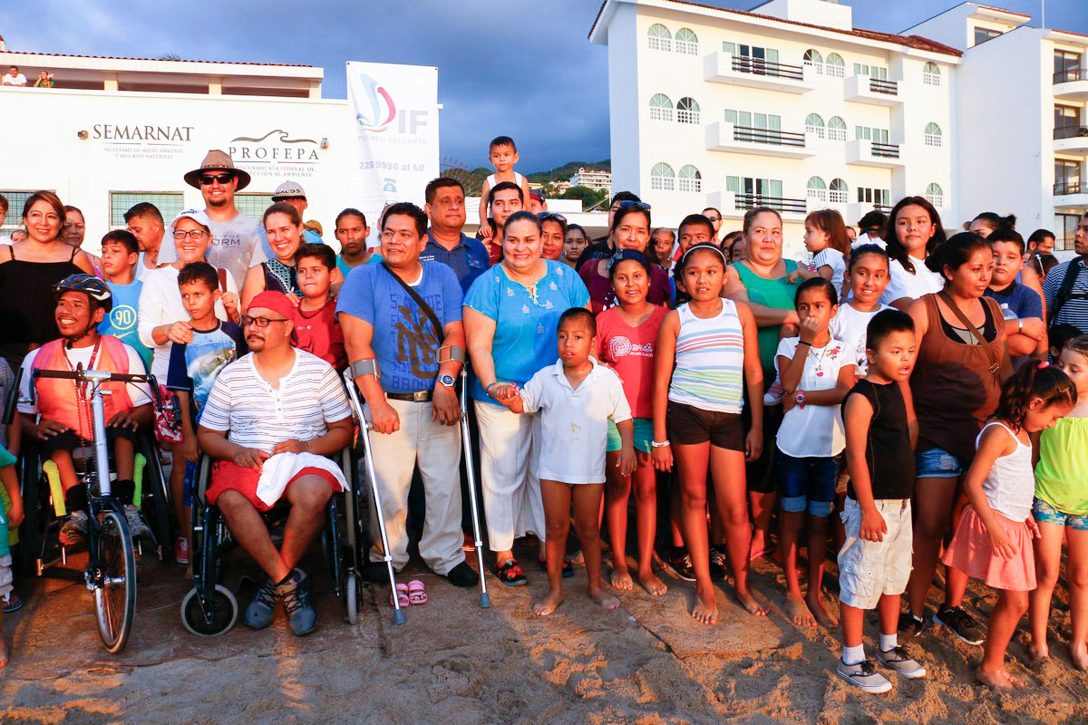 turtle release