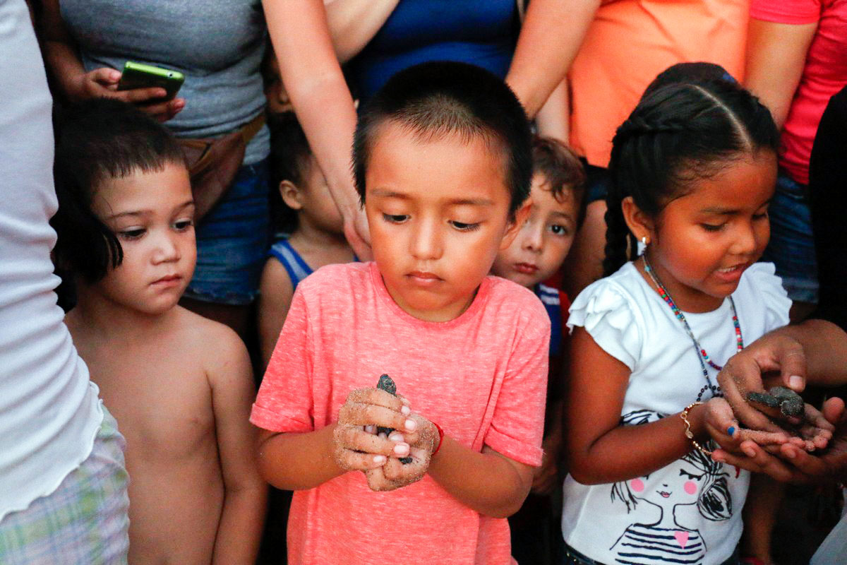 turtle release