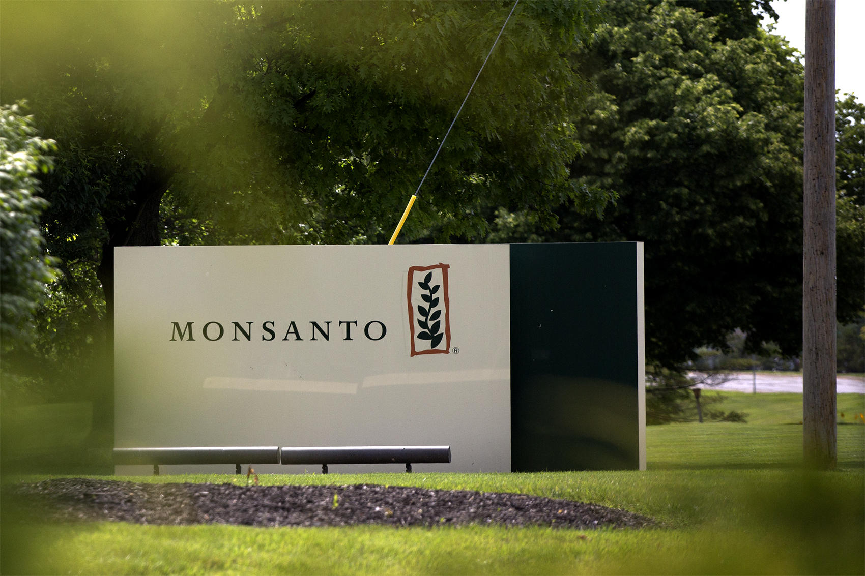 Monsanto