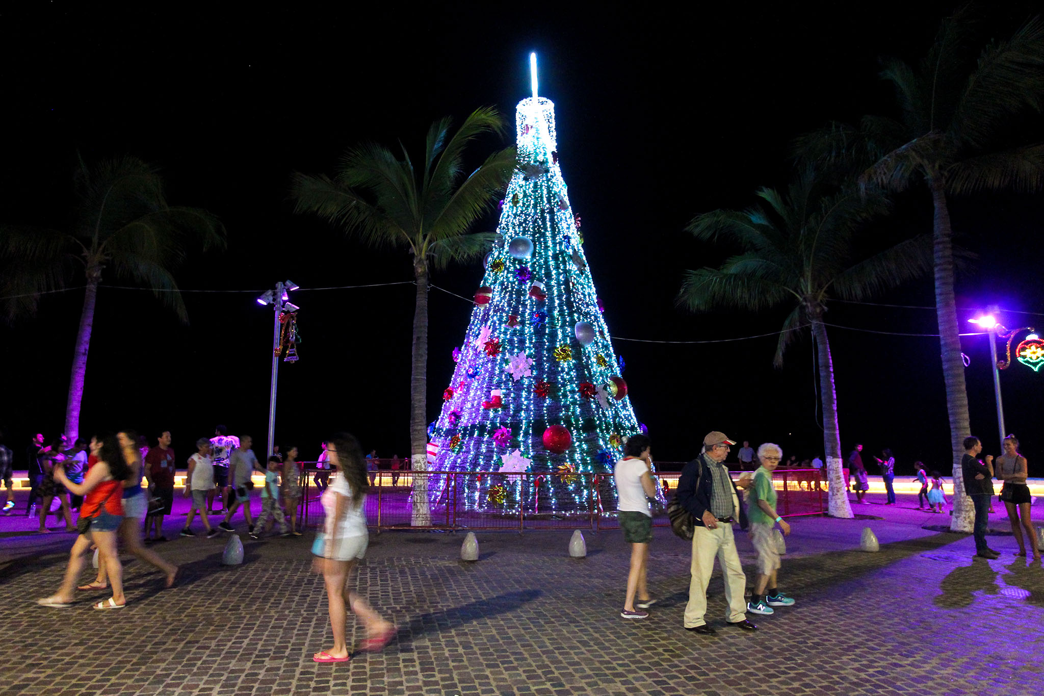 Puerto Vallarta lights up this year's Christmas Tree