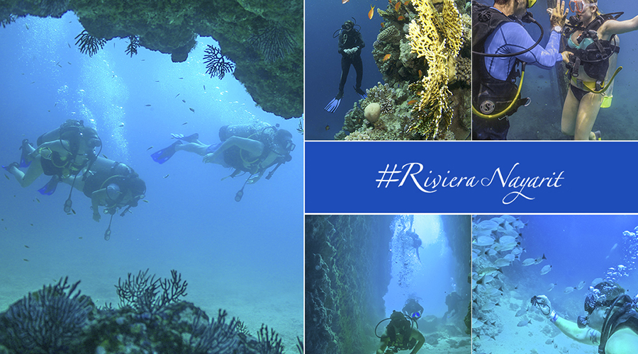 diving rivera nayarit