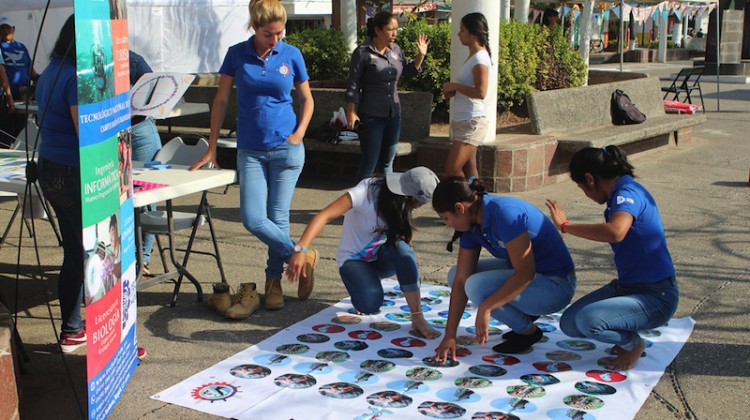 puerto vallarta environment