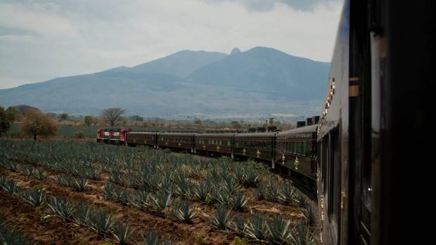 Jose Cuervo Express train ride to Tequila: The real story behind Mexico's famous drink