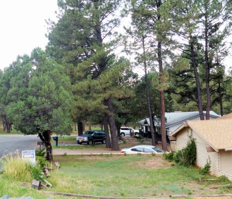 New Mexico bucks national downward trend in housing sales