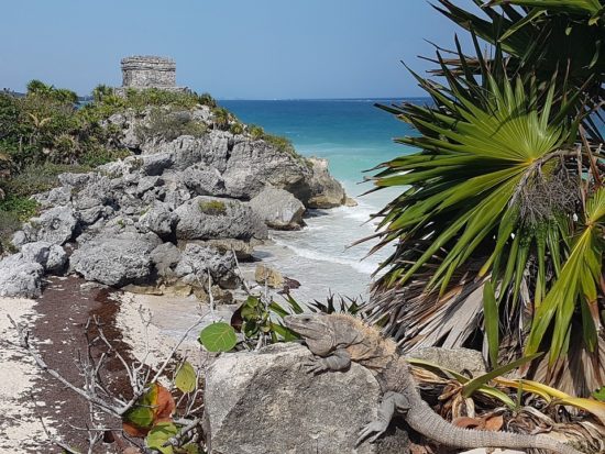 Tulum to become Mexico’s first sustainable tourism zone