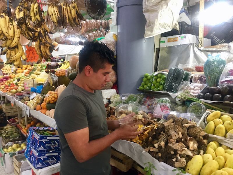 In Full Bloom: Mexico City’s Edible Flower Scene