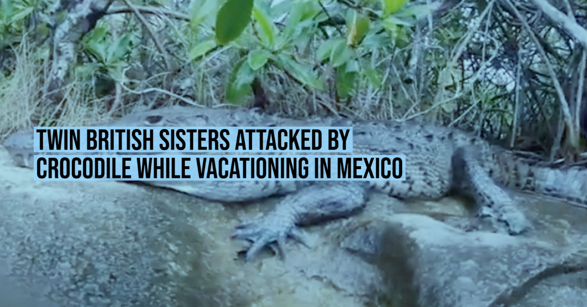 Twin British Sisters Attacked By Crocodile While Vacationing In Mexico Twin British Sisters Attacked By Crocodile While Vacationing In Mexico