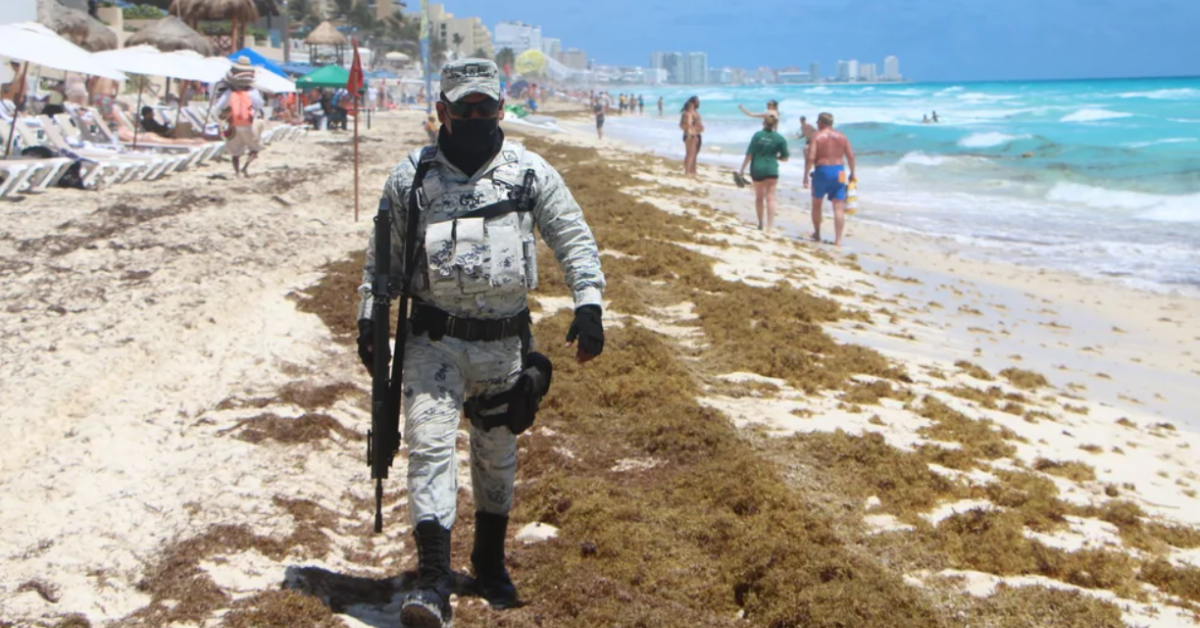 Sargassum continues to invade the beaches of Quintana Roo