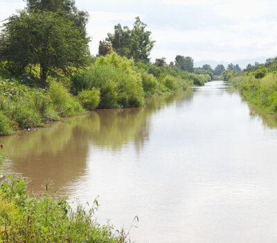 Fisherman finds leg in Ameca River with evidence of crocodile bites