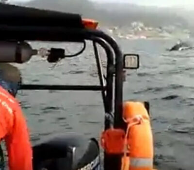 A surprise sighting of humpback whales in Puerto Vallarta during the month of April