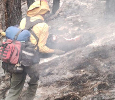 Jalisco Leads in Forest Fires Across Mexico Over 491 Incidents and Counting