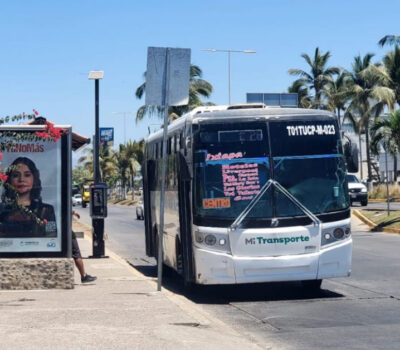 Puerto Vallarta se prepara para una renovación masiva de su flota de transporte público