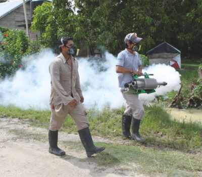 Puerto Vallarta with the Most Cases of Dengue in Jalisco