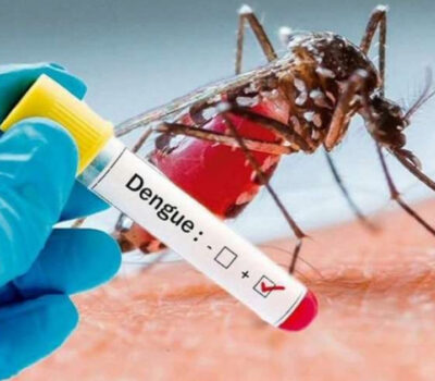dengue fever puerto vallarta