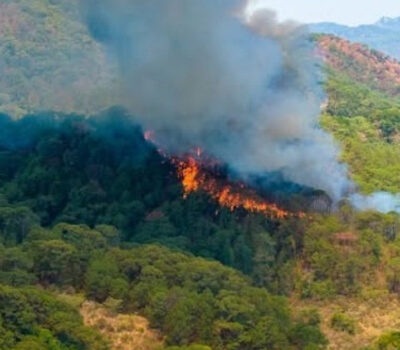 fires puerto vallarta