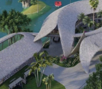 puerto vallarta project