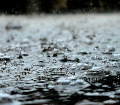 rain