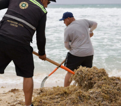 cancun-beach-cleanup-sargassum