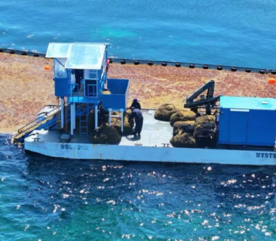 cancun-sargassum-arrival-cleanup-efforts