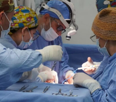 imss-multi-organ-donation-quintana-roo-first-foreigner