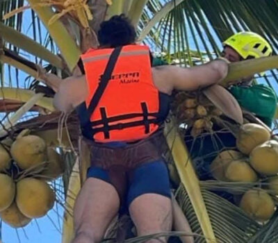 skydiver-rescued-puerto-vallarta-palm-tree