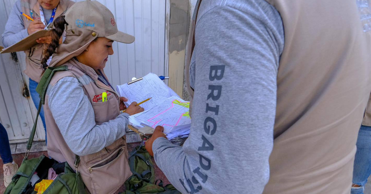 Dengue Cases in Puerto Vallarta Reach a Plateau