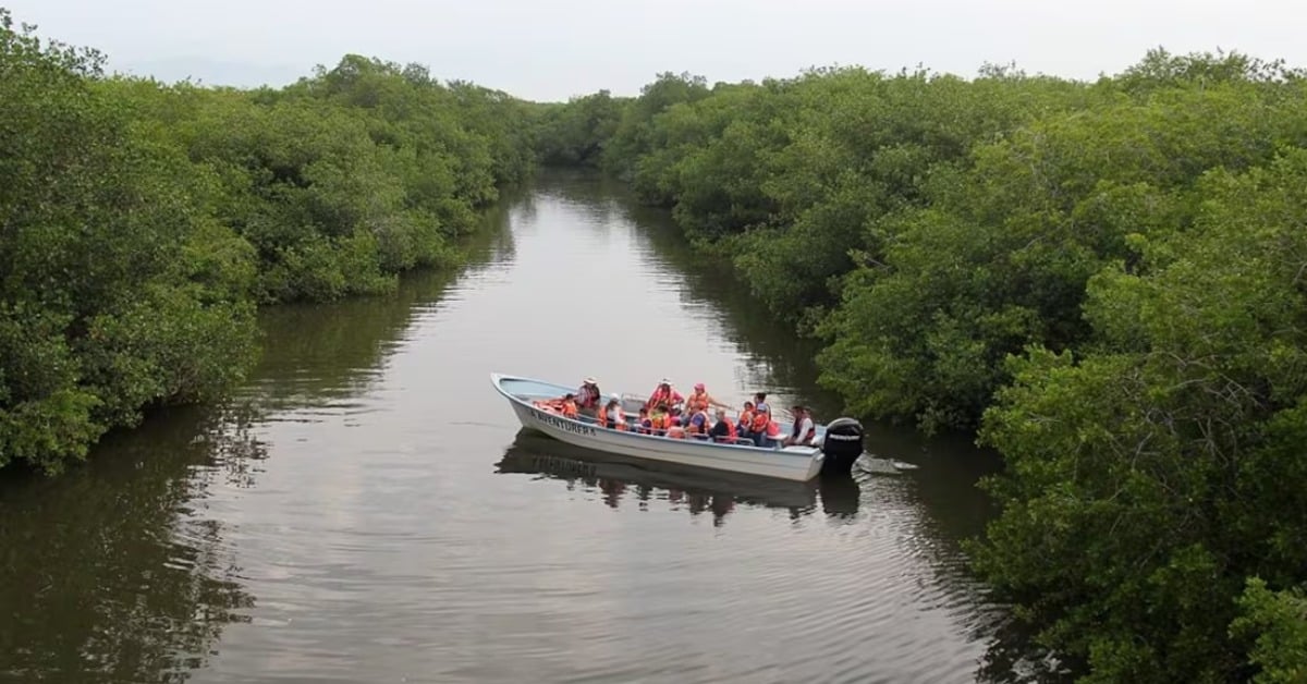 El Salado Estuary guided boat tours