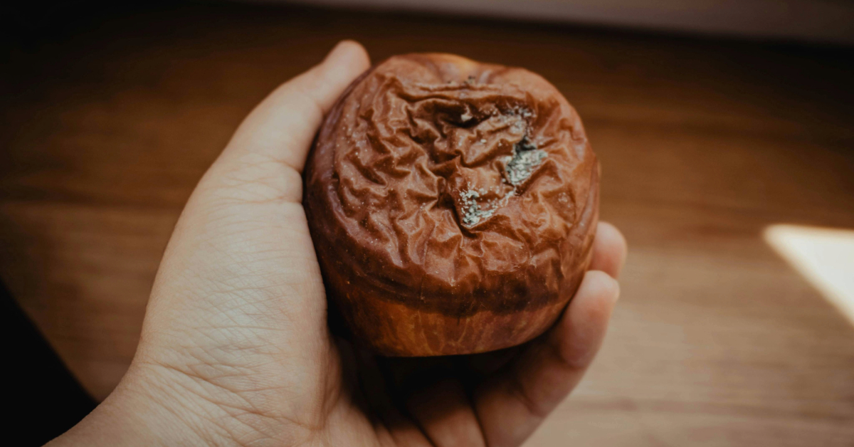 Food waste drains budgets and the planet