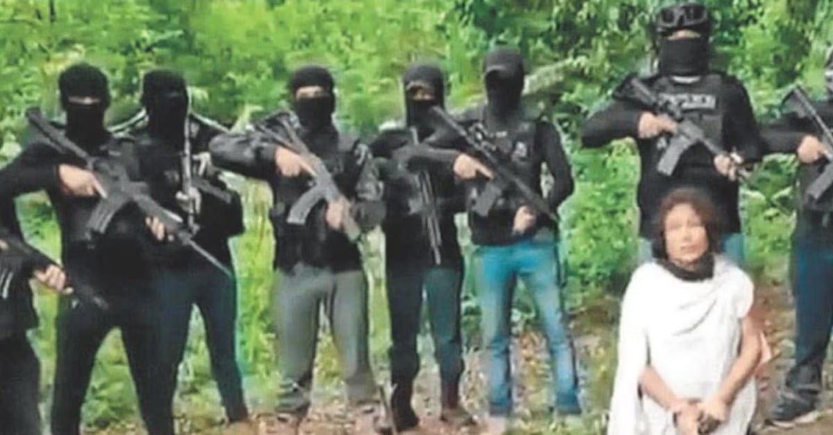 Irma Hernández extortion Veracruz cartel