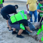 Join the Puerto Vallarta beach cleanup on Saturday, July 26