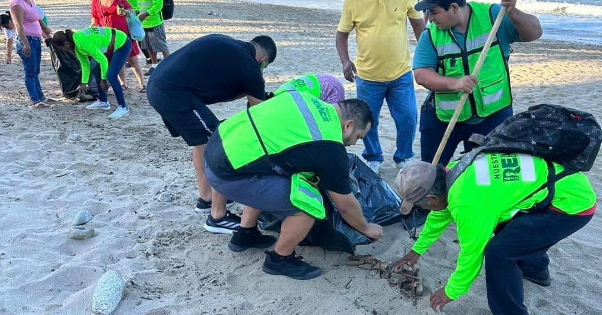 Join the Puerto Vallarta beach cleanup on Saturday, July 26