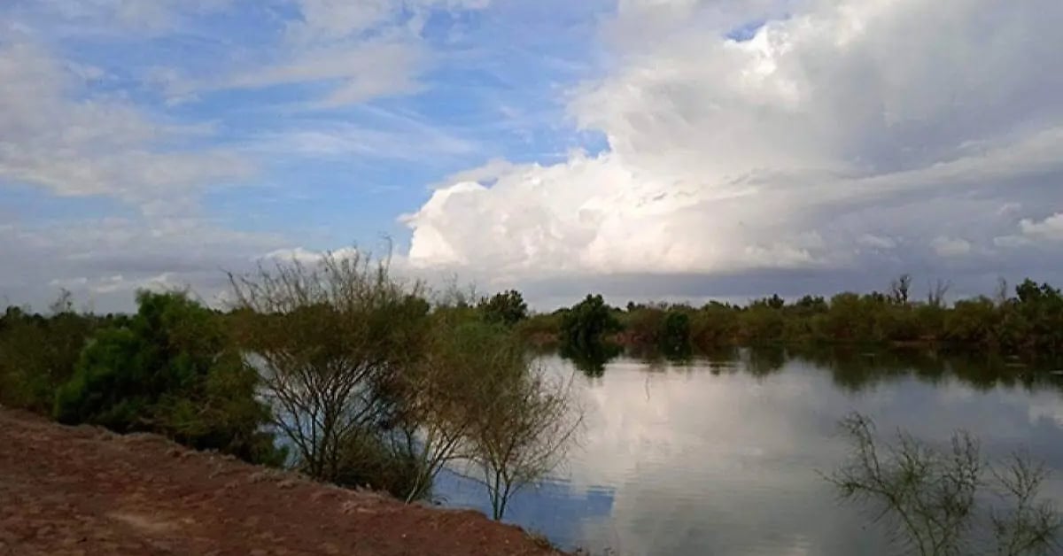 More than 250 species thrive in the artificial wetland of La Paz
