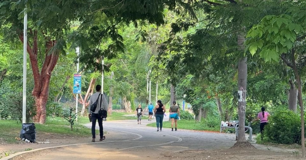 Puerto Vallarta Lineal Park Security