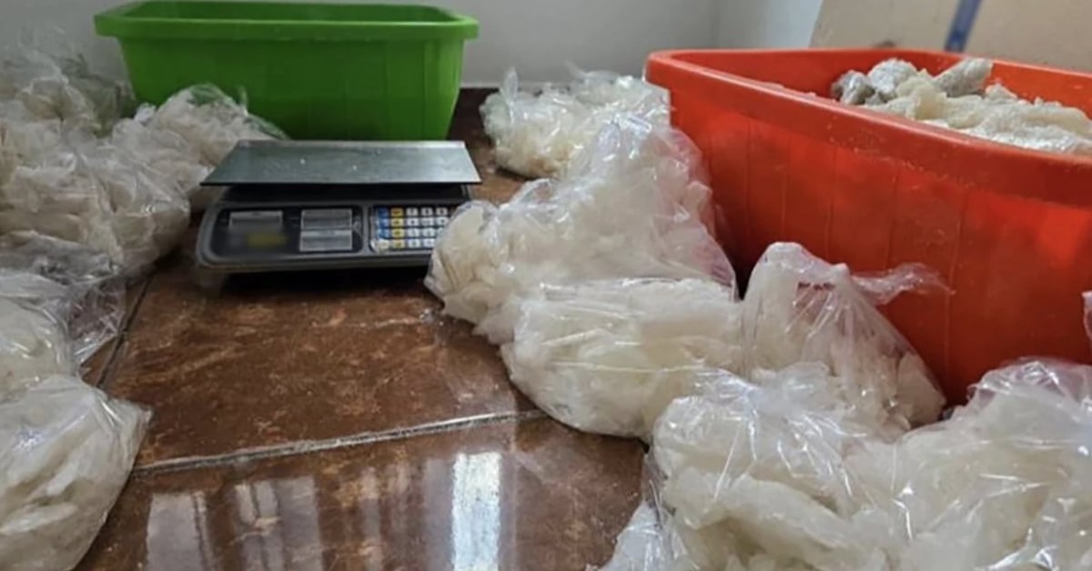 Raid in Morelia dismantles clandestine meth lab