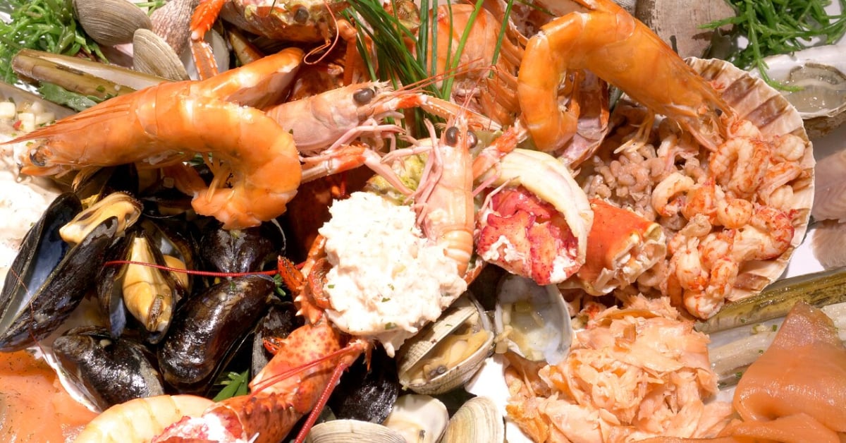 Rosarito seafood festival