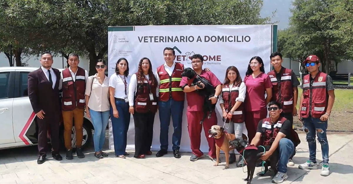 Santa Catarina launches free Vet Home program for pets