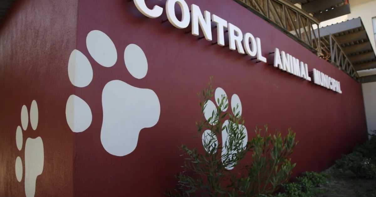 Tijuana Animal Control Center upgrades