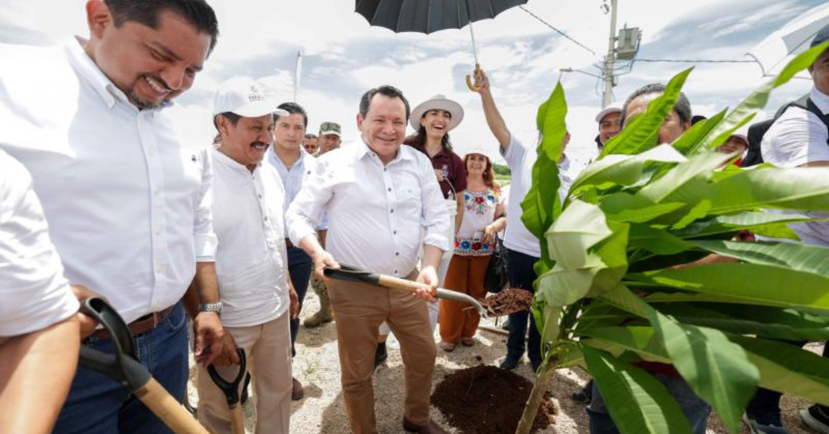 Valladolid reforestation campaign