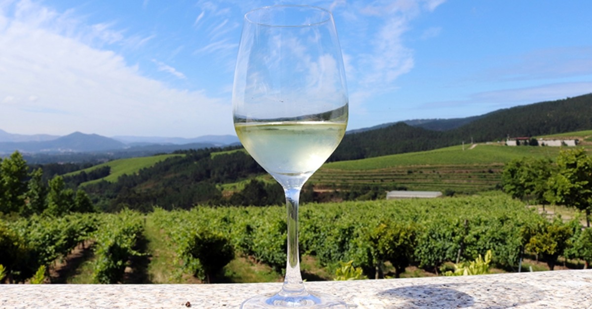 Verano Rías Baixas Cuernavaca Wine and Food Experience