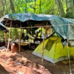 organized crime camp mazatlan