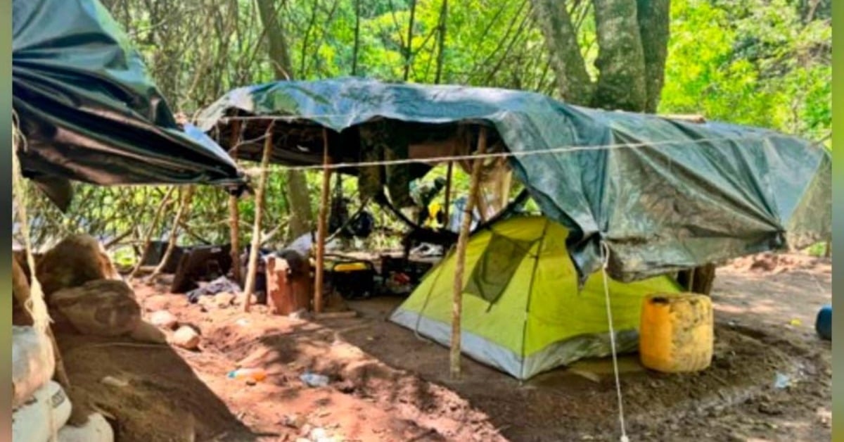 organized crime camp mazatlan