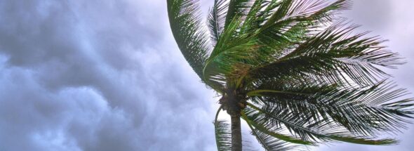 three potential cyclones in the Pacific