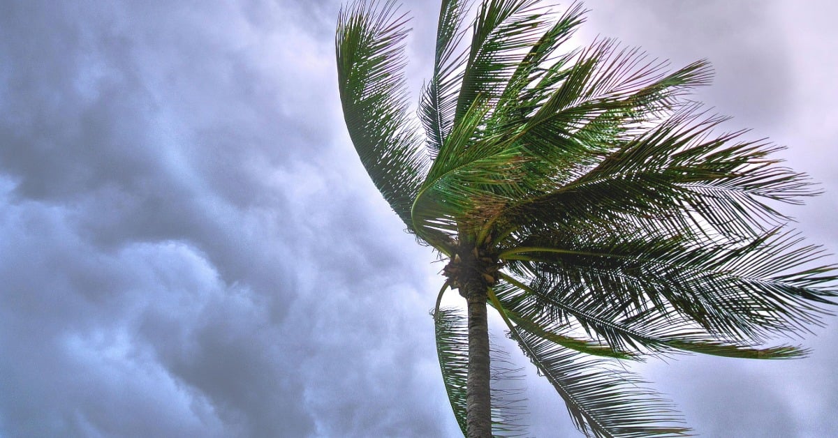 three potential cyclones in the Pacific