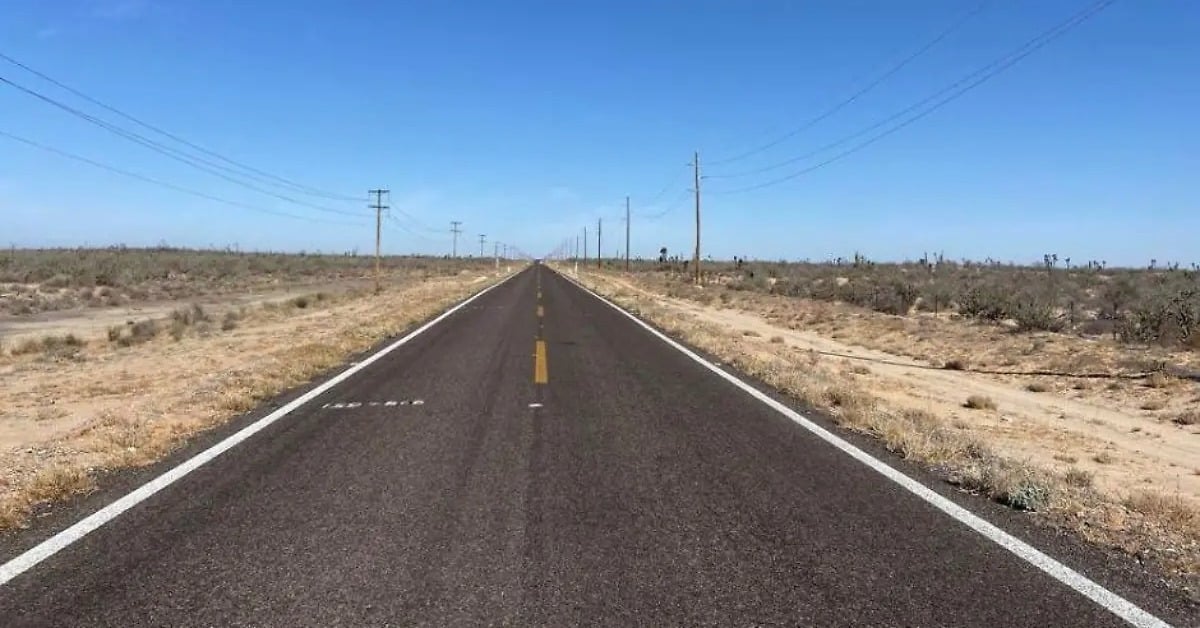 Adopt 1 Kilometer Los Cabos