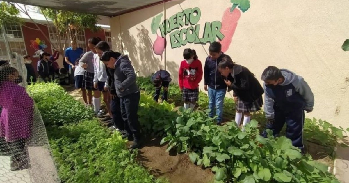 Baja California Sur School Garden Program selects 14 schools
