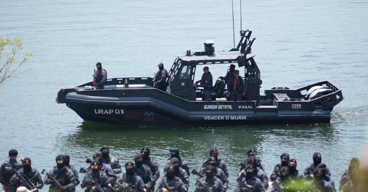 Chiapas Black Hawk