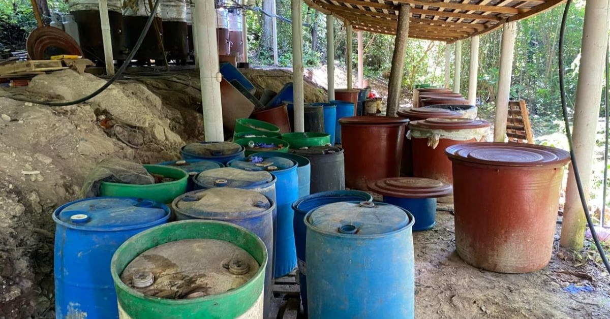 FGR agents dismantled a second drug lab near Palenque